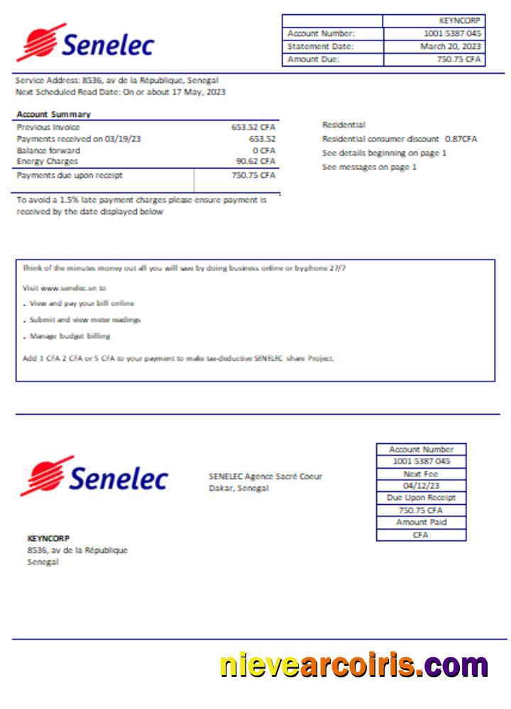 Senelec Agence Sacré Coeur Company electricity utility business bill